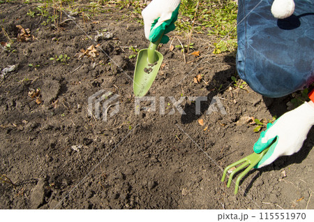 Woman working in your garden - preparing the soil for raised beds Woman working in your garden - preparing the soil for raised beds 115551970
