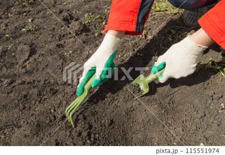 Woman working in your garden - preparing the soil for raised beds 115551974