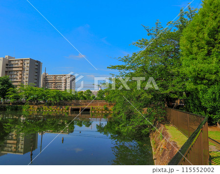 市川大野こざと北公園の風景 115552002