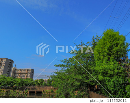 新緑のあるマンション 115552011