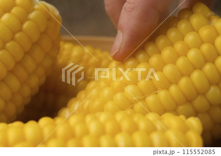 とうもろこしをセイロで蒸す 蒸し立てを手で持つ とうもろこしをセイロで蒸す 蒸し立てを手で持つ 115552085