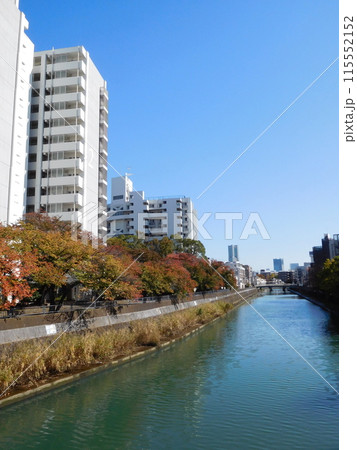 紅葉　横浜市　帷子川沿い 115552152