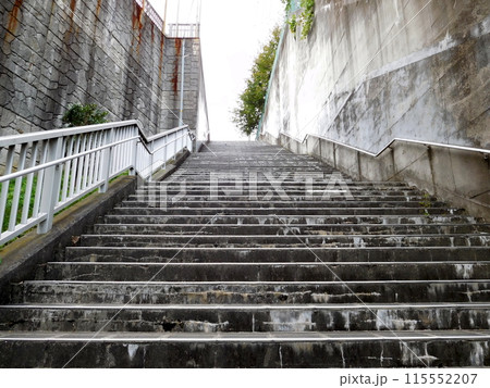 横浜市保土ヶ谷区 長い階段 横浜市保土ヶ谷区 長い階段 115552207
