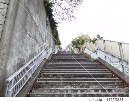 横浜市保土ヶ谷区 長い階段 横浜市保土ヶ谷区 長い階段 115552214