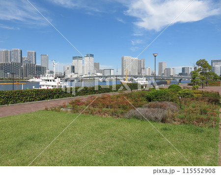 江東区の豊洲ぐるり公園からの眺め(東京スカイツリー・豊洲大橋・トリトンスクエア・晴海フラッグなど) 江東区の豊洲ぐるり公園からの眺め(東京スカイツリー・豊洲大橋・トリトンスクエア・晴海フラッグなど) 115552908