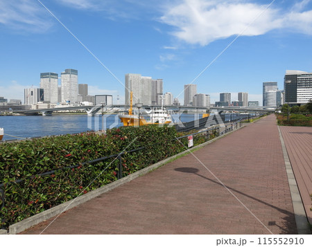 江東区の豊洲ぐるり公園からの眺め(東京スカイツリー・豊洲大橋・晴海トリトンスクエアなど) 江東区の豊洲ぐるり公園からの眺め(東京スカイツリー・豊洲大橋・晴海トリトンスクエアなど) 115552910