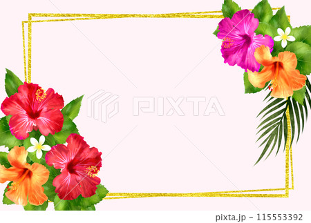 ハイビスカスとゴールドのフレーム ハイビスカスとゴールドのフレーム 115553392