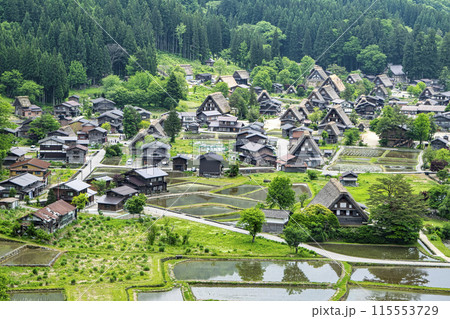 岐阜県　白川郷合掌造り集落　城跡展望台からの風景　世界遺産 115553729