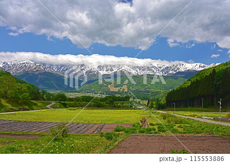 五月の白馬 野平の北アルプス 五月の白馬 野平の北アルプス 115553886