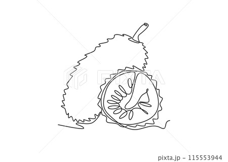 Continuous one line drawing whole and sliced healthy sweet organic soursop for orchard logo identity. Exotic fruits concept for fruit garden icon. Single line draw design vector graphic illustration Continuous one line drawing whole and sliced healthy sweet organic soursop for orchard logo identity. Exotic fruits concept for fruit garden icon. Single line draw design vector graphic illustration 115553944