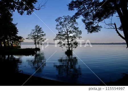早朝の猪苗代湖・天神浜（福島県・猪苗代町） 115554997