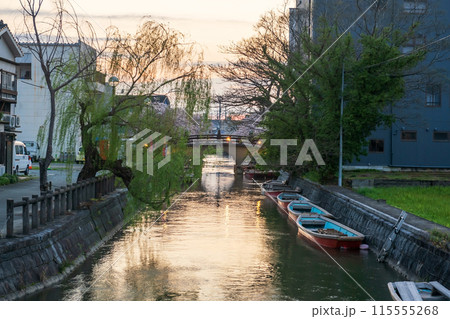 Boat on Suigo river and bridge to Mihashira Shrine at sunset, Yanagawa 115555268