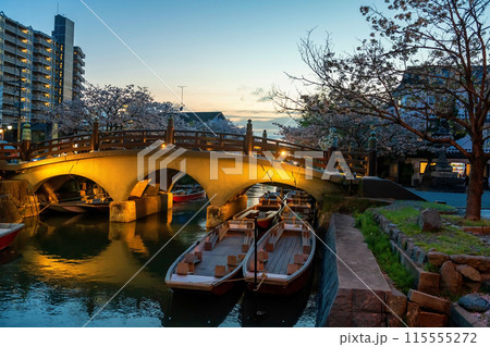 bridge light up over Suigo river with sakura blossom, Yanagawa 115555272
