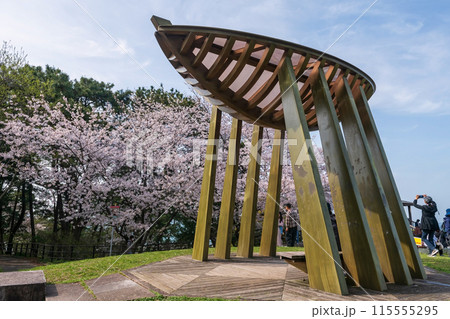Wooden boat statue against cherry blossom in Nishi park, Fukuoka 115555295
