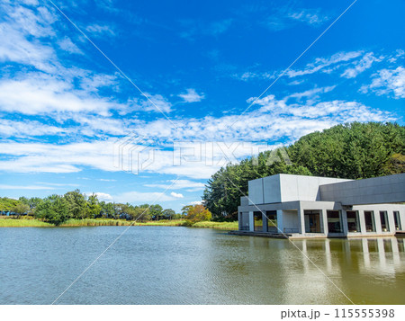 山形県酒田市の飯森山公園 対角魚眼レンズで撮った青空と水面の清々しい景色 山形県酒田市の飯森山公園 対角魚眼レンズで撮った青空と水面の清々しい景色 115555398