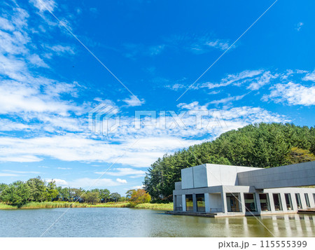 山形県酒田市の飯森山公園　対角魚眼レンズで撮った青空と水面の清々しい景色 115555399