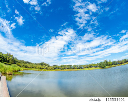 山形県酒田市の飯森山公園　対角魚眼レンズで撮った青空と水面の清々しい景色 115555401