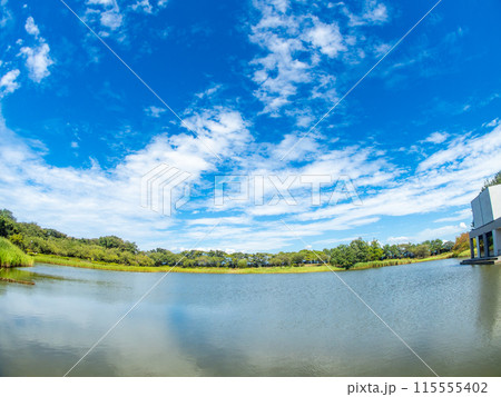 山形県酒田市の飯森山公園　対角魚眼レンズで撮った青空と水面の清々しい景色 115555402
