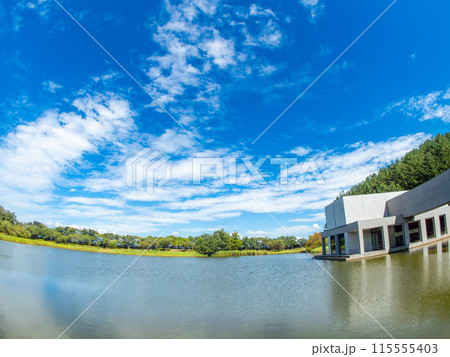山形県酒田市の飯森山公園　対角魚眼レンズで撮った青空と水面の清々しい景色 115555403