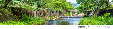 新緑の琴海戸根川　パノラマ　【長崎市】 115555478
