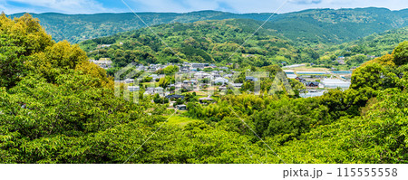 新緑の琴海中央公園　パノラマ　【長崎市】 115555558