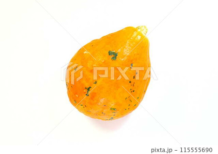 カボチャ　かぼちゃ　パンプキン　南瓜 115555690