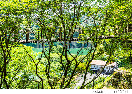 新緑の琴海中央公園　森の中の吊り橋　【長崎市】 115555751