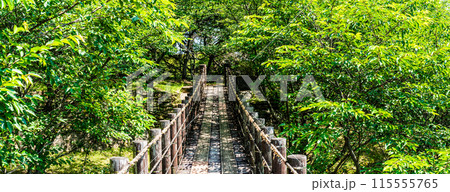 新緑の琴海中央公園 森の中の吊り橋 パノラマ 【長崎市】 新緑の琴海中央公園 森の中の吊り橋 パノラマ 【長崎市】 115555765