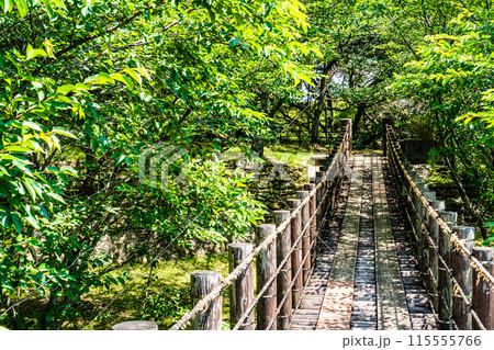 新緑の琴海中央公園　森の中の吊り橋　【長崎市】 115555766