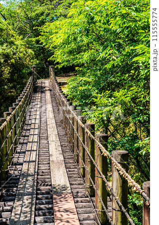 新緑の琴海中央公園 森の中の吊り橋 【長崎市】 新緑の琴海中央公園 森の中の吊り橋 【長崎市】 115555774