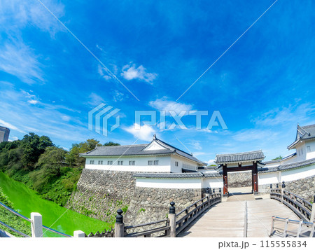 夏の城郭の景色　対角魚眼レンズで撮った風情豊かな山形城二ノ丸 115555834