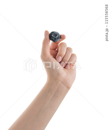 Female hand hold big blueberry isolated on white 115556568