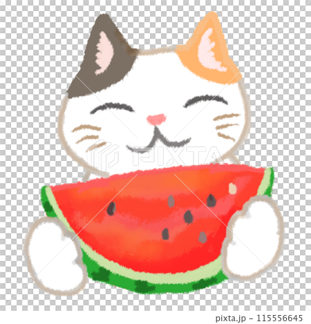 じゃれねこ『4月☆丸ごとスイカ』 o0480040813719681817.jpg?cax=