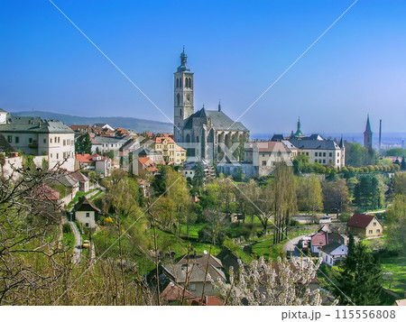 View of Kutna hora, Czech republic 115556808