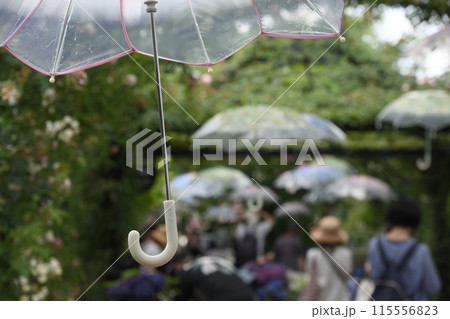 傘 入梅 傘 入梅 115556823