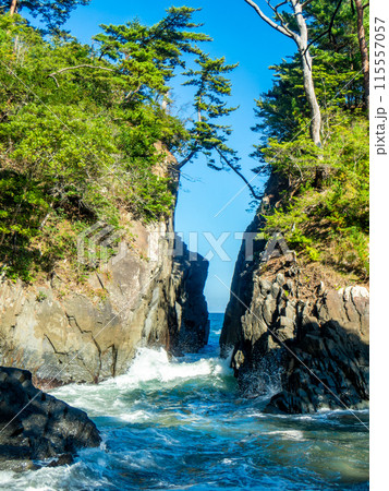 宮城県南三陸町　神割崎のダイナミックな夏景色 115557057