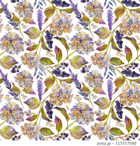 Hand drawn watercolor illustration shabby boho botanical flowers leaves. Hortensia hydrangea veronica buckthorn elderberry berries. Seamless pattern isolated on white. Design wedding, gift paper 115557098