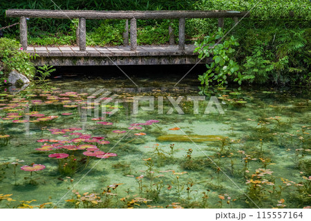 名もなき池《通称：モネの池》 （岐阜県関市板取） 115557164