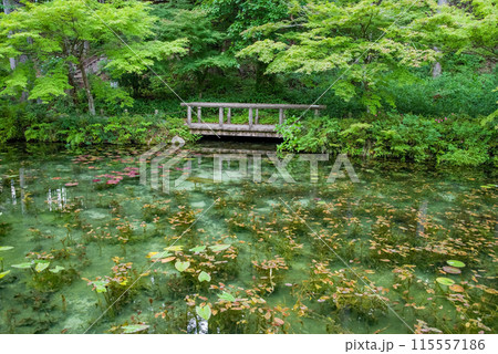 名もなき池《通称：モネの池》 （岐阜県関市板取） 115557186