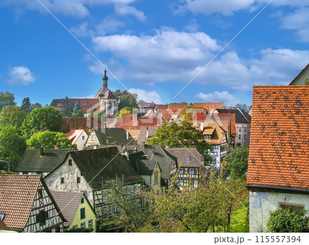 View of Bad Wimpfen, Germany 115557394