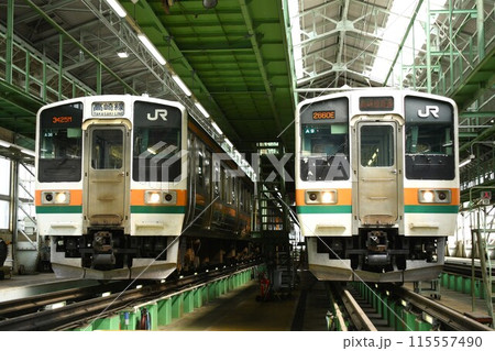 車両基地で並ぶ211系A36編成（高崎線表示）とA9編成（高崎線直通表示） 115557490