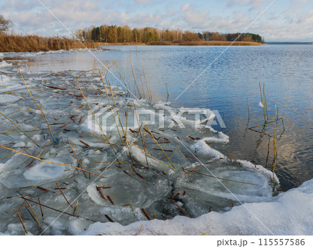 Textured frozen section of shore covered with ice. 115557586