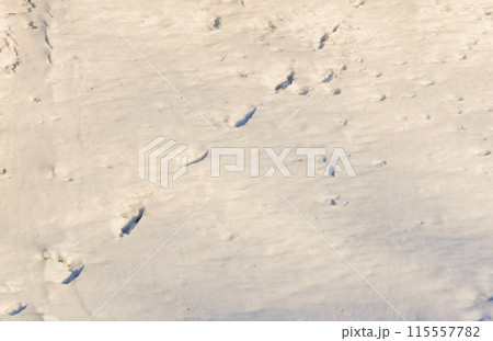 Footprints In The Snow Background 115557782
