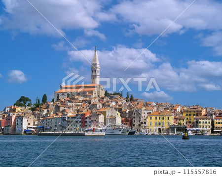 View of Rovinj, Croatia 115557816