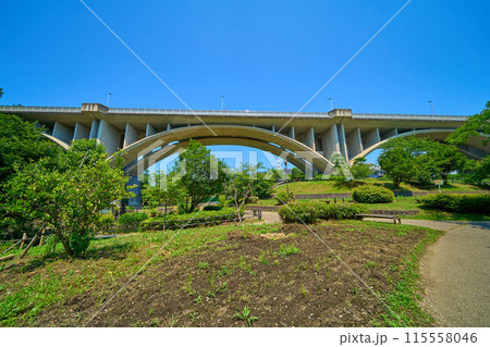 東京都稲城市若葉台の上谷戸大橋(かさやとおおはし)を公園から見る 東京都稲城市若葉台の上谷戸大橋(かさやとおおはし)を公園から見る 115558046