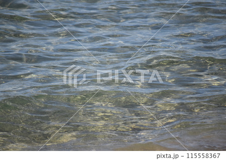 清流の美しい水面 115558367