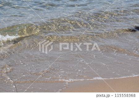清流の美しい水面 115558368