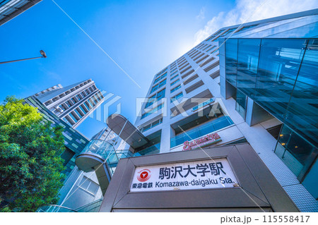 日本の東京都市景観 6月。東急電鉄 駒沢大学駅 などを望む 日本の東京都市景観 6月。東急電鉄 駒沢大学駅 などを望む 115558417