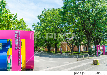 東京外国語大学 林の中の府中キャンパス 東京外国語大学 林の中の府中キャンパス 115558509