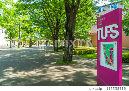 東京外国語大学 林の中の府中キャンパス 東京外国語大学 林の中の府中キャンパス 115558516
